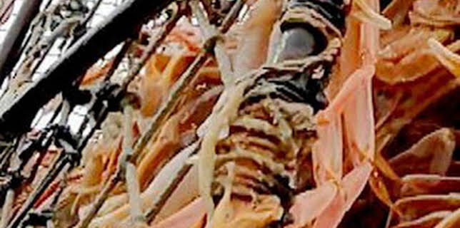 10:30: Pesca radical: Primero en la fila | Discovery | 2/22 2026