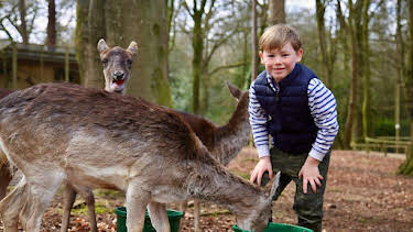 11:50 AM: Our Family (S6) | Cbeebies | 3/30 2026