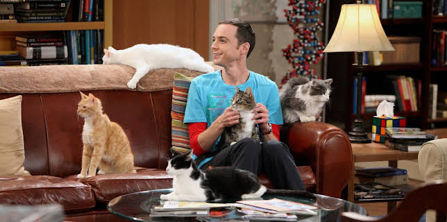 4:30 PM: The Big Bang Theory | E4 | 11/27 2025
