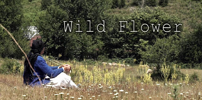 Wild Flower (2016)
