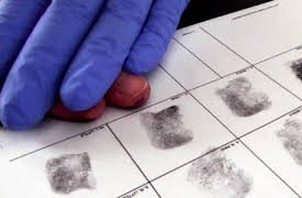 Unmasking a Killer: Inside the Killer's Mind