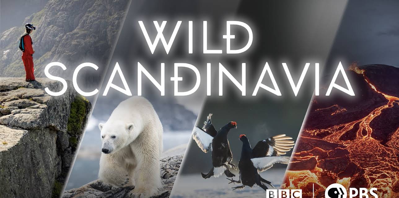 Wild Scandinavia