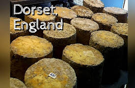 Savoring Europe: Dorset, England
