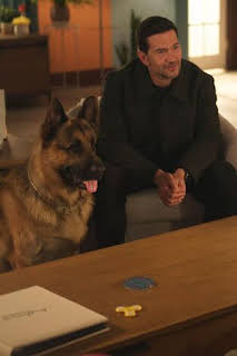 21:02: Hudson y Rex (T8): Ep.2 Testigo a la fuga | AXN | 4/10 2026