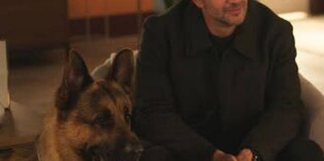 21:59: Hudson y Rex (T8): Ep.2 Testigo a la fuga | AXN | 2/4 2026