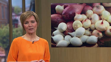 12:10: ARD-Buffet | SWR Fernsehen RP | 3/30 2026