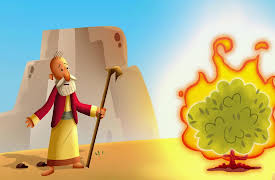 Minno Crece Y Ríe Con La Biblia Para Niños: Season 1: La Zarza Ardiente