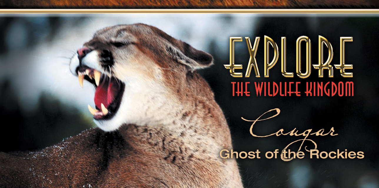 Explore The Wildlife Kingdom: Cougar - Ghost of the Rockies (2026)