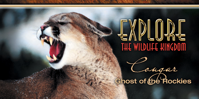 Explore The Wildlife Kingdom: Cougar - Ghost of the Rockies (2026)