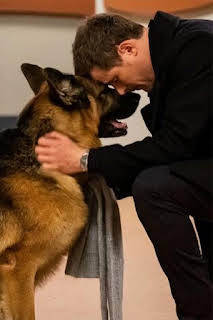 21:05: Hudson y Rex (T4): Ep.16 Los últimos días de perros | AXN | 4/1 2026