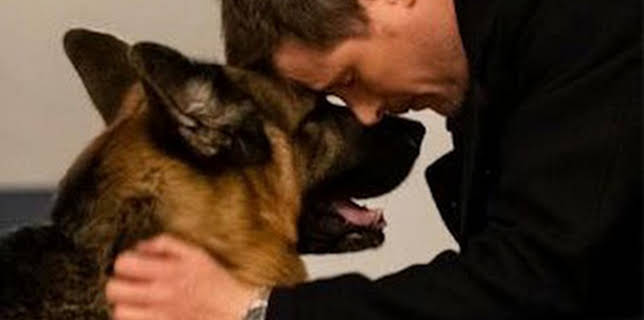 21:00: Hudson y Rex (T4): Ep.16 Los últimos días de perros | AXN | 2/10 2026