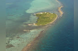 Saving the Ocean with Carl Safina: Shark Reef