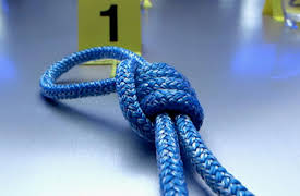 Crime Scene Solvers: Mysterious Hanging On Houseboat  (Aubry case)