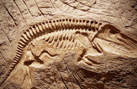 Your Deceptive Mind: A Scientific Guide to Critical Thinking Skills: Philosophy and Presuppositions of Science