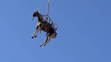 02:00: First on the Scene (S1 E13) (S1) | Viasat 4 | 5/3 2026