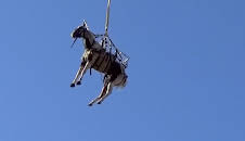 First on the Scene (S1 E13)