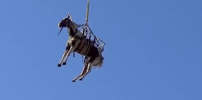 04:50: First on the Scene (S1 E13) (S1) | TV6 | 11/10 2025