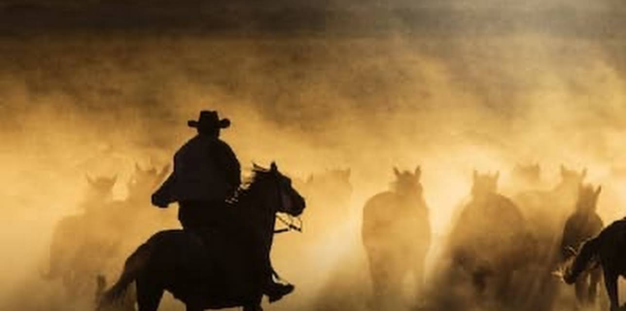 Freedom on the Range