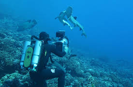 Deadly Islands:  Spækhuggerøen