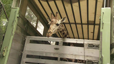17:10: Leopard, Seebär & Co. (94) | NDR Fernsehen | 10/15 2026