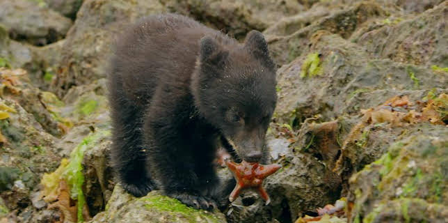 12:10 PM: Andy's Global Adventures (S1) | Cbeebies | 12/28 2025