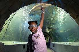 Splash and Bubbles: Get Your Feet Wet, Season 1: Ocean Superpowers