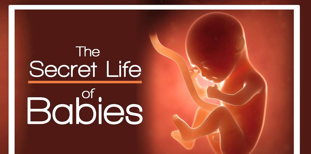 The Secret Life of Babies (2005)