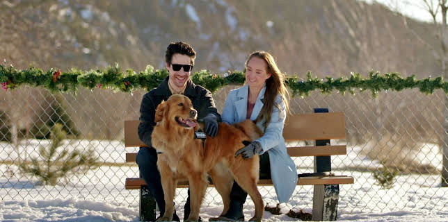 08:05: My Christmas Guide | RTL 2 | 12/24 2025