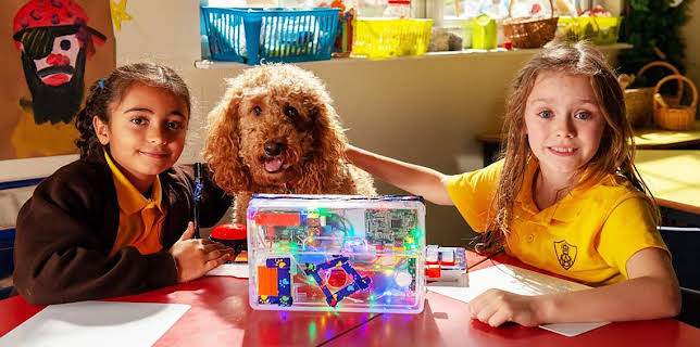 2:35 PM: Waffle the Wonder Dog (S4) | Cbeebies | 11/28 2025