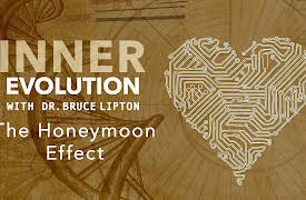 Inner Evolution: The Honeymoon Effect