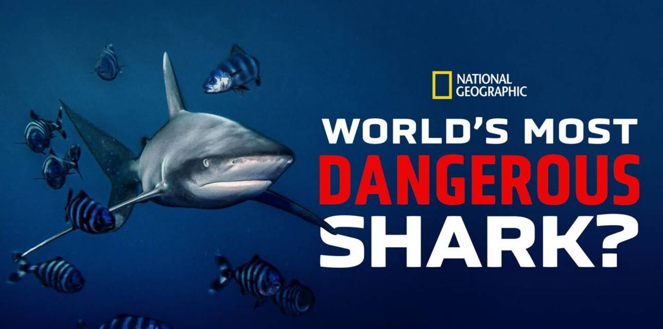 World's Most Dangerous Shark? (2025)