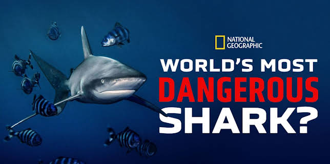 World's Most Dangerous Shark? (2025)