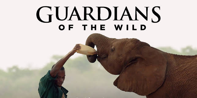 Guardians Of The Wild