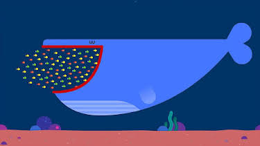 7:05 AM: Hey Duggee | Cbeebies | 4/10 2026