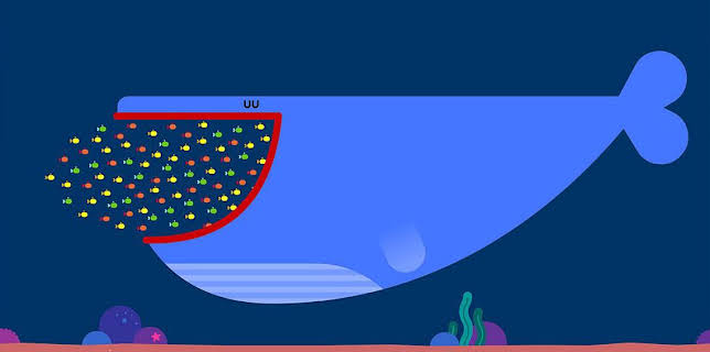 7:05 AM: Hey Duggee | Cbeebies | 1/9 2026