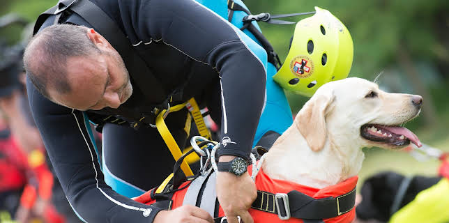 03:00: Dogs: The Untold Story (S1 E4) (S1) | Animal Planet | 11/23 2025