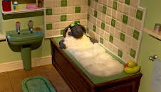 Sauen Shaun: Strømstopp