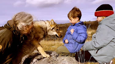 07:20: Nysgjerrige Noah: Ulven og reven | NRK Super | 4/5 2026