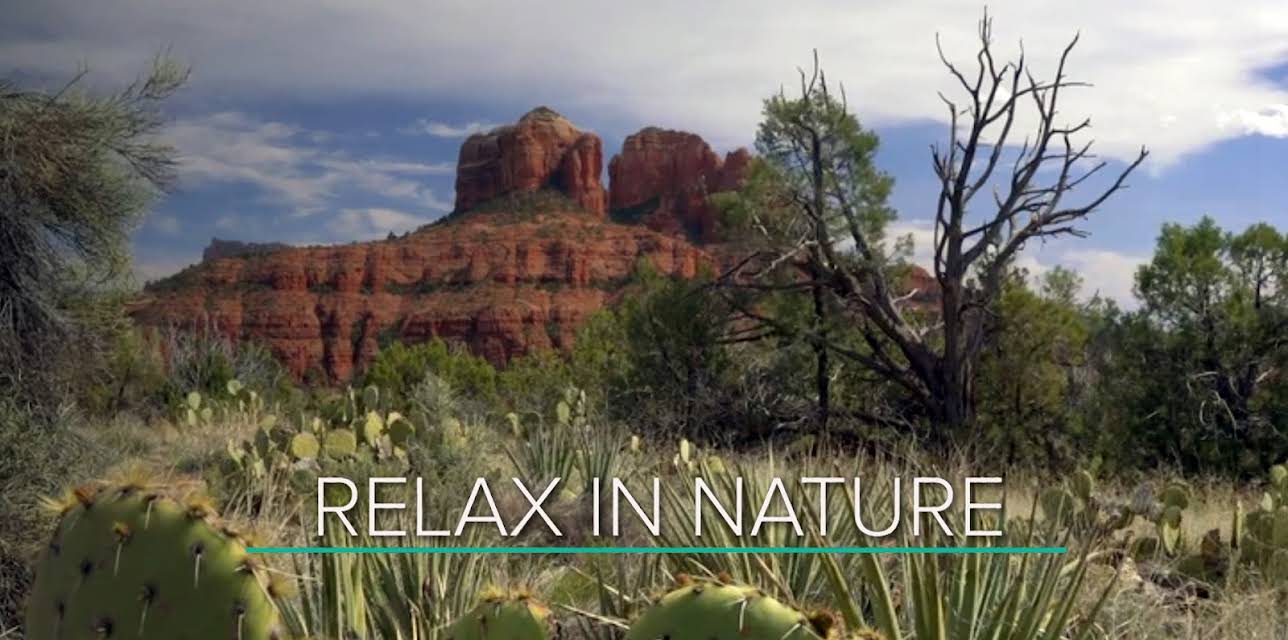 30 Minutes to Relax in Nature