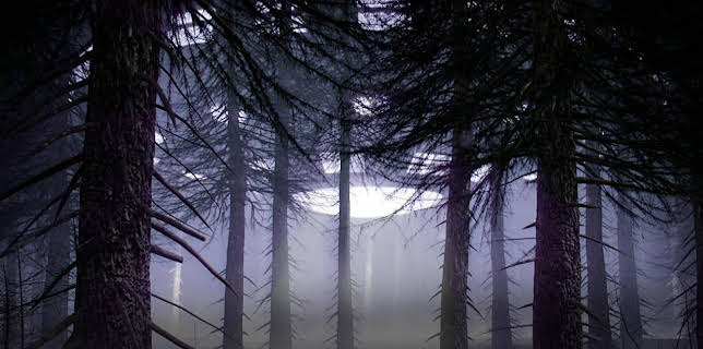 Unsealed Alien Files