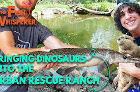 The Fish Whisperer: Bringing Dinosaurs to The Urban Rescue Ranch!