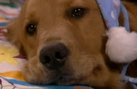 Cómplices al Rescate season-1: Cómplices al Rescate Capítulo 17