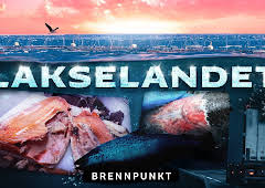 Brennpunkt: Lakselandet: Alt for Norge