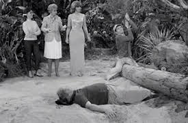 Gilligan's Island: The Complete First Season: How To Be A Hero