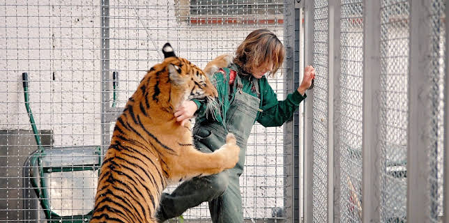 13:50: Tierärztin Dr. Mertens (S02/E01) | One | 1/26 2026