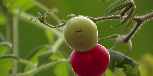 05:45: Big Cities | SR Fernsehen | 11/13 2025