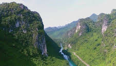 Verborgen im Dschungel - Geheimnisse aus der Vergangenheit