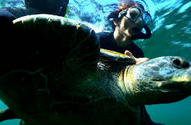 Mission Galapagos: Episode 3