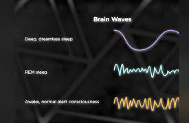 Brain Myths Exploded: Lessons from Neuroscience: Are Dreams Meaningful?