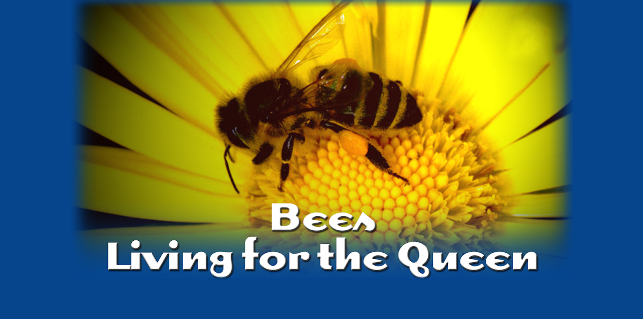 Bees - Living for the Queen (1998)